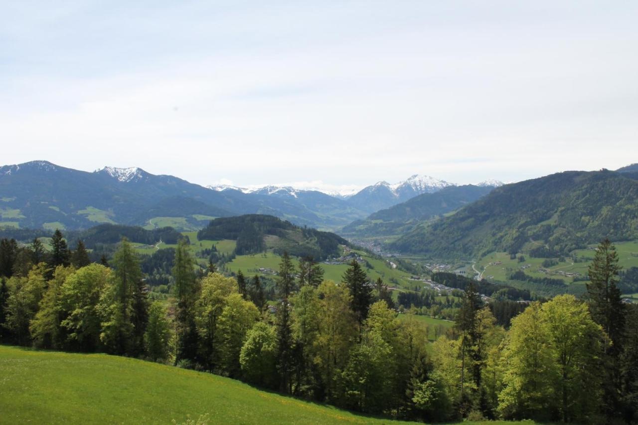 Ferienhotel Samerhof Pfarrwerfen Exteriér fotografie