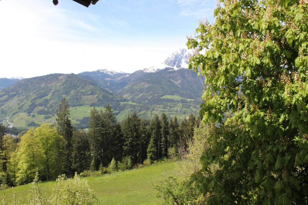Ferienhotel Samerhof Pfarrwerfen Exteriér fotografie